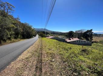 Lote en Venta en Poás, Alajuela. RAH 23-2954