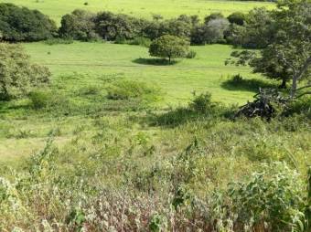 Excelente Finca Ganadera en San Blas de Guanacaste de Liberia en Venta. CG-20-827