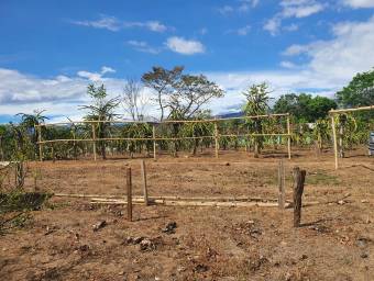 Excelente terreno de 8.000mts2 en el Centro de Orotina en Venta. CG-23-1332