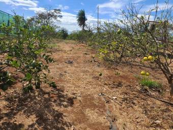 Excelente terreno de 8.000mts2 en el Centro de Orotina en Venta. CG-23-1332