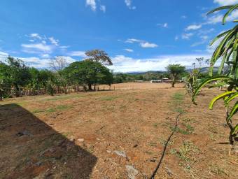 Excelente terreno de 8.000mts2 en el Centro de Orotina en Venta. CG-23-1332