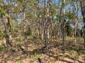 MLA-23-2407 VENTA LOTE SAMARA GUANACASTE 