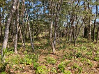 MLA-23-2407 VENTA LOTE SAMARA GUANACASTE 