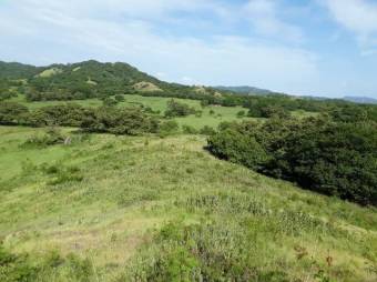 Excelente Finca Ganadera con 500.000Mts2 en San Blas de Guanacaste en Venta.