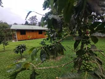 Fabulosa propiedad con Casas y Lote de 1.430 Mts2 en Turrialba en Venta. CG-23-662