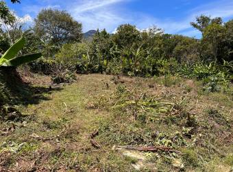 CAMBIO LOTE POR VEHÍCULO