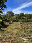 CAMBIO LOTE POR VEHÍCULO