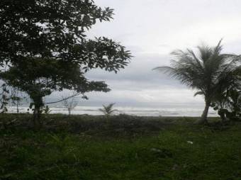 Excelente Finca para Desarrollo Hotelero son 3 Lotes en Tortuguero en Venta. CG-20-1192