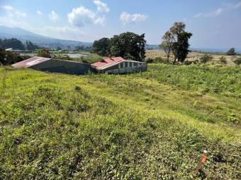 Lote en Venta en Poás, Alajuela. RAH 23-2954