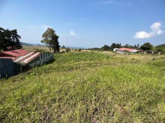 Lote en Venta en Poás, Alajuela. RAH 23-2954