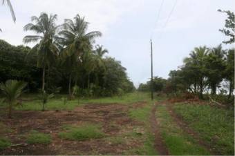 Finca con 3 Lotes Unidos con Frente a la Playa en Tortuguero de Guapiles en Venta. CG-20-1192