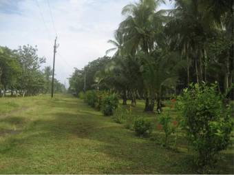 Finca con 3 Lotes Unidos con Frente a la Playa en Tortuguero de Guapiles en Venta. CG-20-1192