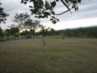 Excelente Lote con 10.000Mts2 en Sarapiquí, Alajuela en Venta. CG-23-1339