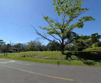 Lot for sale in Hacienda los Reyes City Residential Area.