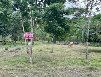 Hermoso lote de 1.200 mts en Bajo Los Rodríguez