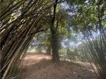 VENTA DE LOTES, ALAJUELA, LA GUACIMA