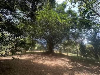 VENTA DE LOTES, ALAJUELA, LA GUACIMA