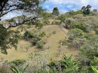 Se vende amplio terreno de 16,200m2 en las montañas de Escazú 23-1737