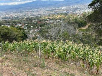 Se vende amplio terreno de 16,200m2 en las montañas de Escazú 23-1737