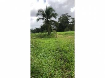 VENTA DE LOTE CON USO DE SUELO MIXTO, HEREDIA, SARAPIQUÍ, HORQUETAS