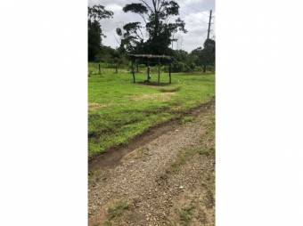 VENTA DE LOTE CON USO DE SUELO MIXTO, HEREDIA, SARAPIQUÍ, HORQUETAS