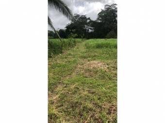 VENTA DE LOTE CON USO DE SUELO MIXTO, HEREDIA, SARAPIQUÍ, HORQUETAS