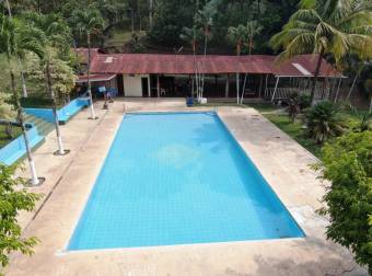 Venta Finca en Los Ángeles de Atenas, Alajuela. 