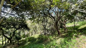 Venta de Finca en Tres Ríos de La Unión, Cartago. 