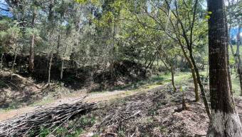 Venta de Finca en Tres Ríos de La Unión, Cartago. 