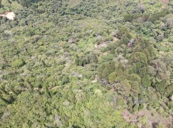 Venta de Finca en Tres Ríos de La Unión, Cartago. 