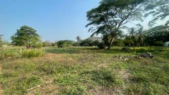 Venta de Lote en El Roble, Puntarenas. 