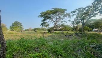 Venta de Lote en El Roble, Puntarenas. 