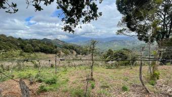 Venta de Terreno en Santa Cruz de León Cortés, San José. 