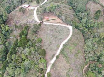 Venta de Terreno en Santa Cruz de León Cortés, San José. 