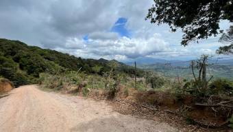 Venta de Terreno en Santa Cruz de León Cortés, San José. 