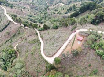 Venta de Terreno en Santa Cruz de León Cortés, San José. 