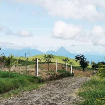 VENTA DE LOTES RESIDENCIALES, ALAJUELA, SAN CARLOS, CUIDAD QUESADA   