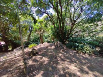 Se vende finca con un lote de mas de 36,400m2 en Ángeles de San Rafael 24-1448