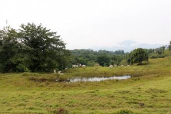 Se vende gran lote con  2,190,000m2 de lote en Guápiles de Pococí 23-908