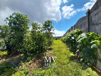 Terreno en El Carmen de Guadalupe