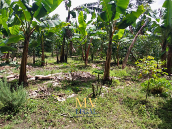 Terreno en El Carmen de Guadalupe