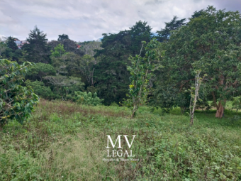 Terreno en El Carmen de Guadalupe