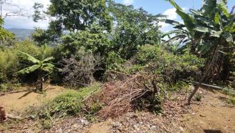 MLS-24-1689 VENTA CASA SANTA TERESITA TURRIALBA