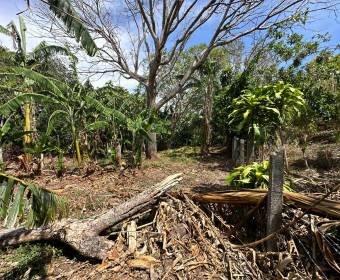 Lots for sale in Santa Barbara de Heredia.