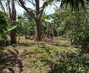 Lots for sale in Santa Barbara de Heredia.