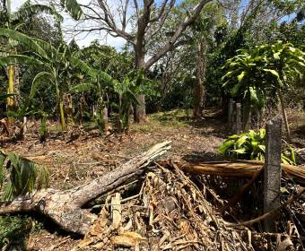 Lots for sale in Santa Barbara de Heredia.