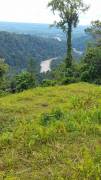 Finca Vistas del Pacuare