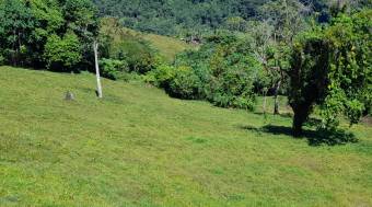 Finca Vistas del Pacuare