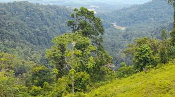 Finca Vistas del Pacuare