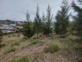 MLS-24-1722 VENTA LOTE DE 17000M2 SAN RAMÓN ALAJUELA